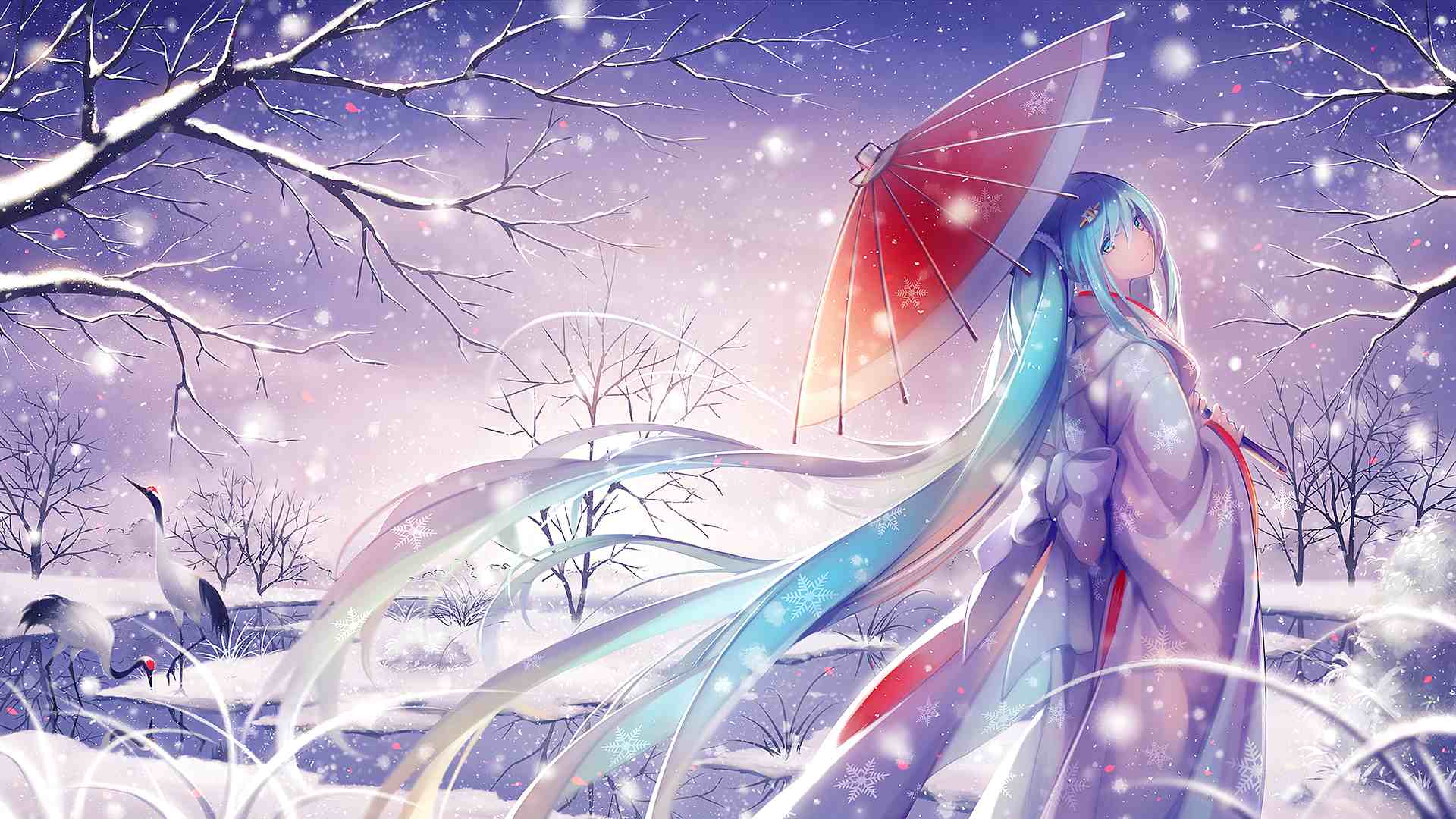 boxmoe_header_banner_img